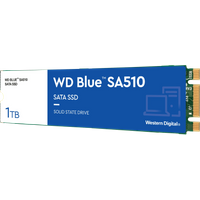Koop WD Blue SA510 1TB SATA M.2 SSD - 718037884707