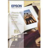 Koop Epson Premium Glossy Fotopapier 10 x 15 (40 Vellen) - 8715946384337