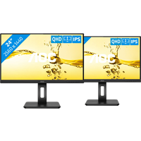 Koop AOC Q24P2Q Duo Pack - 6095622861812