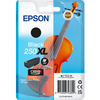 Koop Epson 250XL Cartridge Zwart - 8715946743899