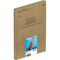 Koop Epson 250 Combo Pack XL - 8715946744032