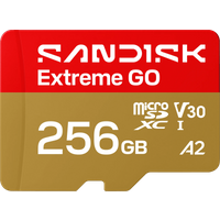Koop SANDISK Extreme GO microSDXC 256GB 240MB/s - 0619659227951